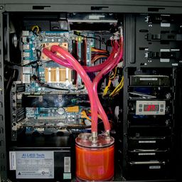 DSC_0201.jpg